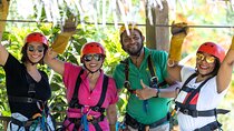 Punta Cana Zipline Jungle Adventure 
