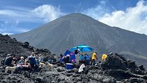 Pacaya Volcano Hike and Tour from Antigua Guatemala