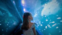 Aquaria Phuket Tickets and 4D Trickeye Museum Combo Deal