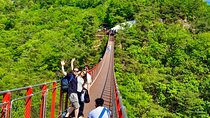 DMZ: Explore 3rd Tunnel & Nature Walk on Suspension Bridge