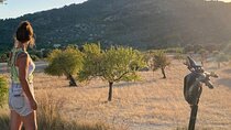 Self Guided E Scooter Brunch Tour in Mallorca Countryside