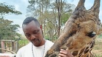 Nairobi Giraffe Centre and National Museum Guided Tour Adventure