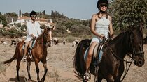 From Albufeira: Horse Riding Tour with Pickup