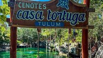 Tulum Ruins with Casa Tortuga in 4 Cenotes with Lunch