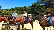 Private Horseback Riding and Muir Woods Adventure from San Francisco