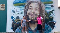 Bob Marley House and Dunns River Falls Private Tour