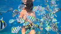 Bali Blue Lagoon Snorkeling - Lunch and Transport All Inclusive