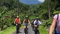 Bali Downhill Cycling Kintamani to Ubud with Private Transfer