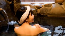 Tokyo Local Tattoo Friendly Onsen Experience