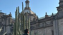 DE Mexico CD Walking Tour with Local Guide and Bilingual