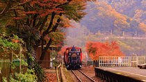 Explore Kyoto: Sagano Train, Bamboo Grove & Fushimi Inari