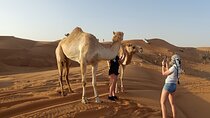 Dubai Morning Desert Adventure with Dune Bashing and Camel Ride