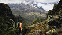 Kilimanjaro climb, Marangu route (6-day)