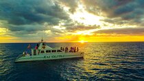 Premium Snorkel Sunset Cruise, Dolphin Watch incl Dinner & Drinks