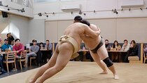 the SUMO show (without meal)