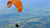 Paragliding in Apia
