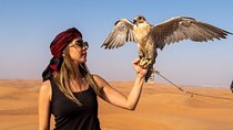 Dubai Desert Safari with BBQ Dinner, Camel Ride & Live Shows