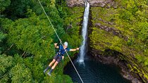 Hilo Waterfall Zipline near Akaka Fall w/ Hilo Cruise Ship Pickup