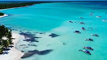 Tours 04 Days: Saona Island and Bay of Eagles From Punta Cana