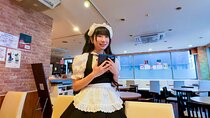 Akihabara Maid Cafes and Anime Song Bar Visit with Japanese Otaku