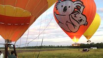 Cairns Classic Hot Air Balloon Ochre