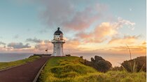 Breathtaking Six Day Northland Tour Offered in English & German