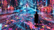 TeamLab Phenomena Abu Dhabi Tickets