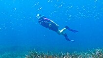 Snorkeling Adventure with guide at Cap de Formentor