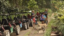 Bali Eco Off-Road Adventure to Munduk