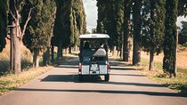 Ancient Appia and Roman Catacombs Private Tour with Golf Cart
