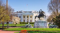 Washington DC Highlights: Private Half-Day Tour