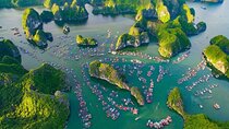 Lan Ha Bay Day Tour from Hanoi – All-Inclusive Cruise Experience