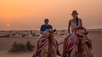 Dubai: Evening Camel Caravan, Bedouin Dinner at Al Marmoom Oasis