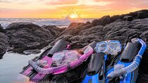 Kona Snorkeling Gear Rental Dive Into Adventure