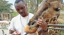 Giraffe Center and Karen Blixen Museum from Nairobi