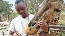 Nairobi National Park and Giraffe Centre Half day Tour