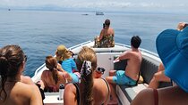 Private Whale Watching Tour - 38ft Speedboat | Pearl Islands