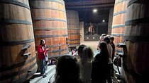 Premium Wine tour + 7 tastings + Lapis Lazuli + Private Transport