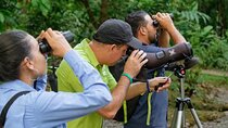 The best bird watching tour in Arenal