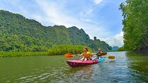 Ao Thalane Kayaking Mangrove Forests Adventure from Krabi
