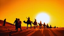 Sunset Desert Safari with Dune Bashing and Camel Rides Dinner