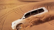Dubai: Half-Day Desert Safari, Camels, Quad Bike & Refreshments