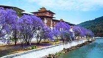 From Bhutan 9 Nights 10 Days Explore Beautiful Bhutan