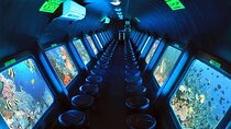 Day Trip Submarine cruise with Snorkel stop in Hurghada