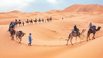 Marrakech and Sahara Merzouga desert 3-day tour + Hotel and Camp