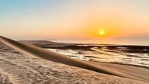 Doha Sunrise, Sunset Desert Safari Camel Ride & Inland Sea Tour
