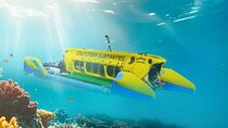 Exclusive Cayman Underwater Adventure: Yellow Submarine Cayman