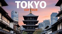 Tokyo: Private Customize Day Tour With Hotel Transfer