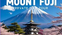 Tokyo: 10-hour Mount Fuji Private Customizable Day Tour