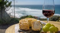 Traditional Portuguese Vineyards Experience - Private Trip